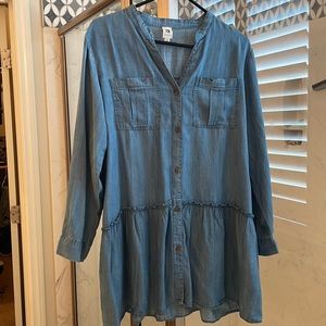 Vici New Denim Dress!